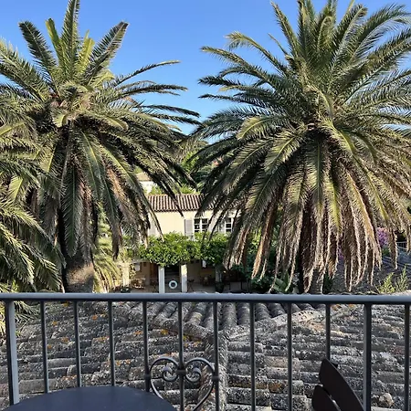 Pastis Saint-Tropez